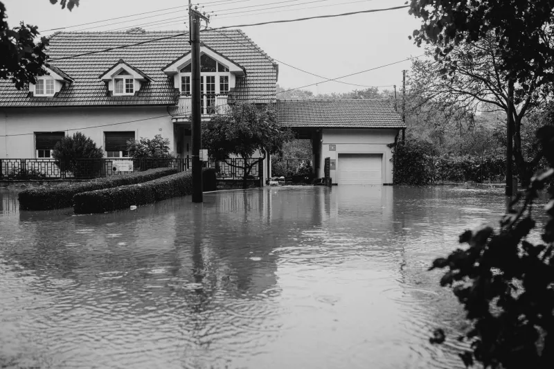 Before You Buy, Look Up: What Climate Resilience Reveals About a Neighborhood's Future Value