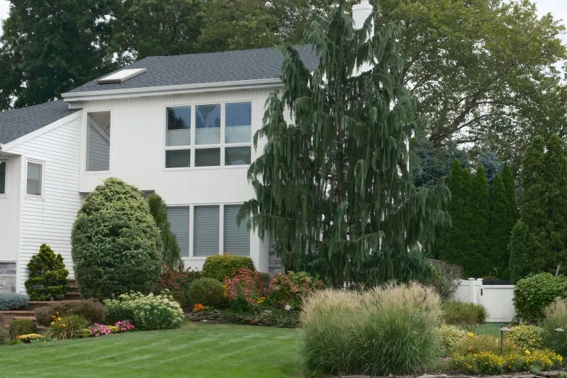 What the Front Yard Tells You First: Reading Neighborhood Pride Before You Make an Offer