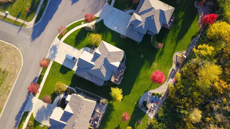 Rooted in Value: What Mature Street Trees Really Mean for Your Home's Price Tag